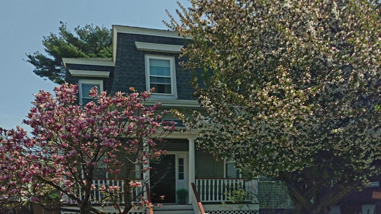 2 Bedroom Boston Condo In Jamaica Plain With Parking Екстер'єр фото